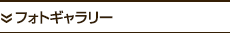 フォトギャラリー